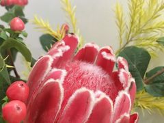 -盒马鲜生(189购物中心店)