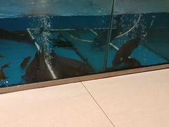 -崔记生活·铁锅炖鱼粘卷子(总店)