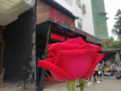 -厨彩阳光(河东路店)