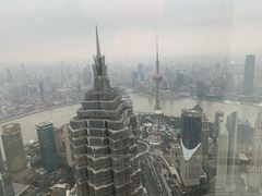 -上海柏悦酒店·世纪100牛排馆