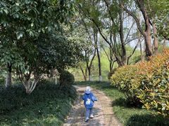 -杭州城北体育公园