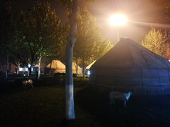 -九十九顶毡房(阜石路店)