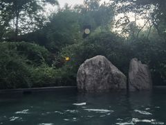 -麦积山温泉