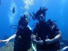 -飞鱼&摩娜潜水度假村