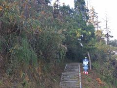-青龙山国家森林公园