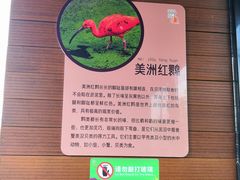 -武汉动物园