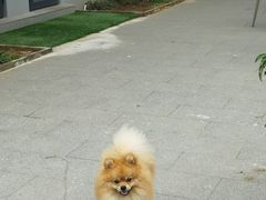 -聚农庄民宿农家院(梨木台东山店)