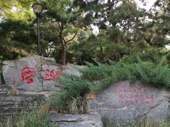 -玲珑塔公园