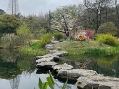 -杭州植物园