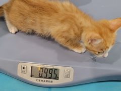-美迦爱-牙专科·兔科·骨科诊疗中心(北苑店)