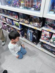 -乐高品牌旗舰店(人民广场店)