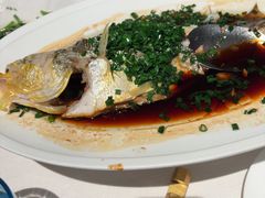 -三利音·玖弄小鲜(浦东嘉里城店)