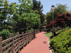 -铁山坪森林公园