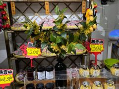 -苏州市吴中区光福窑上花果蜜饯厂