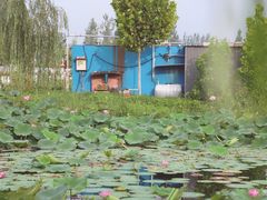 景点-白洋淀景区