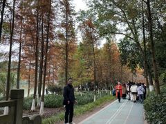 -重庆彩云湖湿地公园
