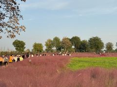 -汉长安城未央宫国家考古遗址公园