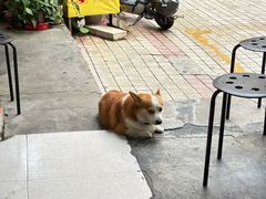 -小梁哥云吞面(黄贝岭店)