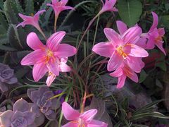 -明月山庄私房菜(环海东路店)