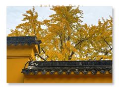 -虎丘山风景名胜区