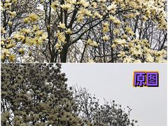 -睦南公园
