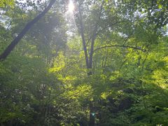 -藏龙百瀑风景区