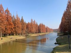 -黄海国家森林公园