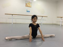 -西安小天鹅艺术团(金花路校区)