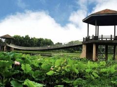-荷塘月色湿地公园·向阳花洲