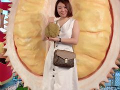 -都念榴莲·城市榴莲