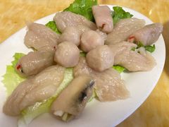 招牌鱼册-金砂阿洲鱼册店