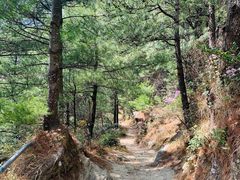 -苍山感通索道