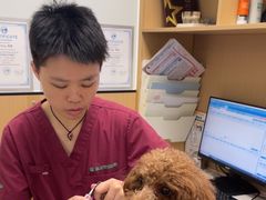-瑞派康怡24h宠物医院·犬猫医疗中心·微创绝育(瑞景分院)