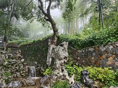 -莫干山风景区