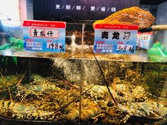 -海鲜e族(马王堆店)