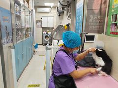 -北京观赏动物医院·24小时大型综合·猫专科·异宠专科