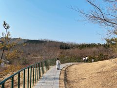 -象湖生态湿地公园