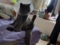 -联合动物医院(光谷诊疗中心)