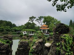 -雨湖公园