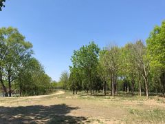 -东郊湿地公园