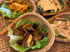 -滇野云南野生菌餐厅(陕西南路店)