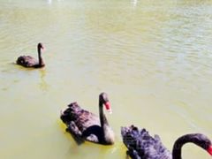 -新疆天山野生动物园