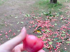 -金花茶公园