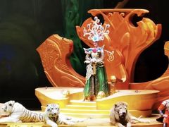 -广州长隆国际大马戏