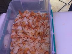 -海韵之星邮轮水会(明发商业广场店)