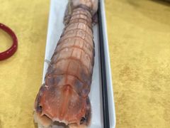 -蚝专家(北滘店)