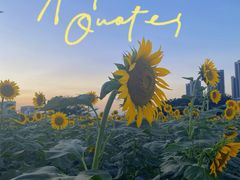 -光明小镇欢乐田园