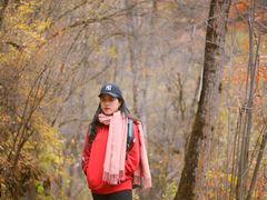 -叠溪松坪沟景区