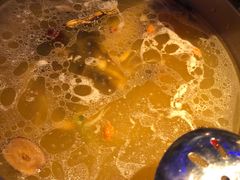 -千岛蚝高压锅生蚝·人参火锅(白云万达店)