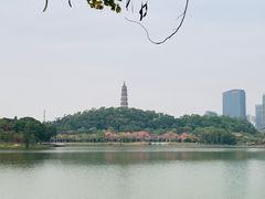 -顺峰山公园